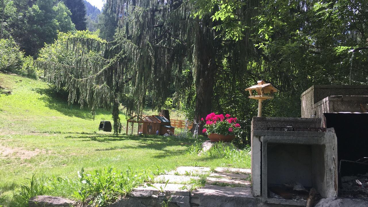 B/B La Locanda Delle Pulci Mezzana  Exteriör bild
