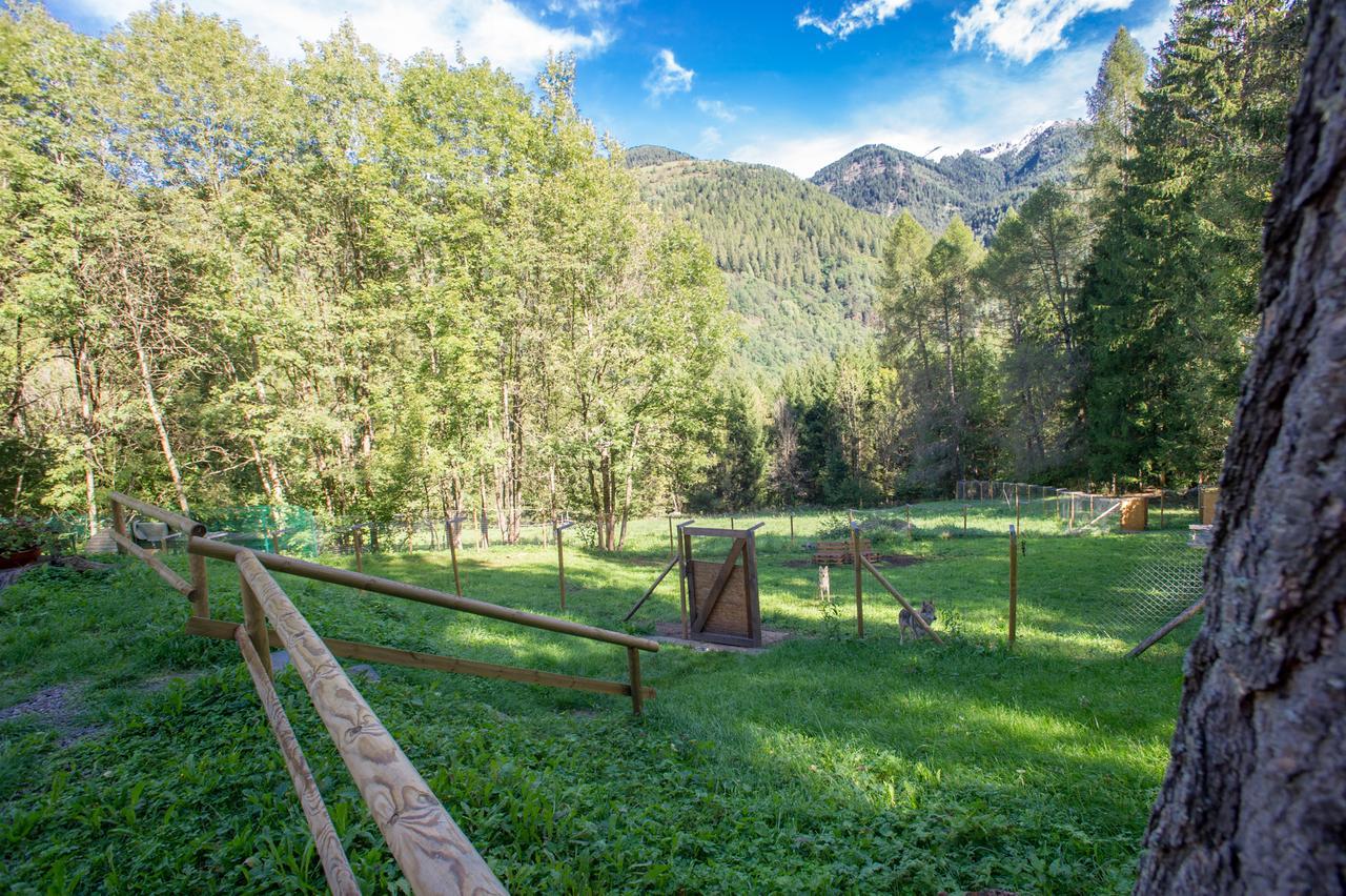 B/B La Locanda Delle Pulci Mezzana  Exteriör bild